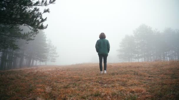 Prise de vue cinématographique d'une jeune femme sur une clairière lors d'une journée d'automne brumeuse — Video