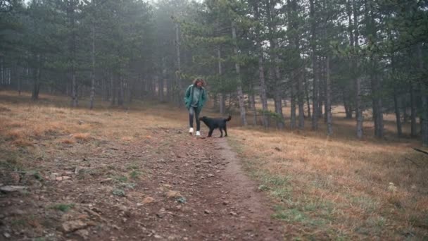 Jeune femme marchant dans la forêt brumeuse d'automne avec son chien noir shaggy mignon — Video