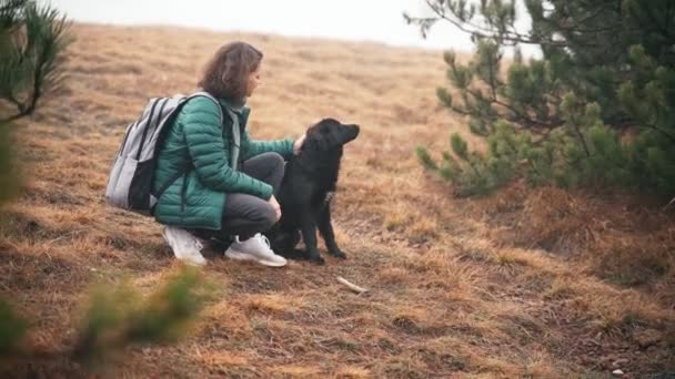 若いです女性ストローク彼女のかわいい黒い犬ながら、彼女に秋の森の中を歩く — ストック動画