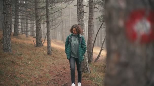 Une jeune femme avec un sac à dos marche le long d'un sentier dans la forêt brumeuse d'automne — Video