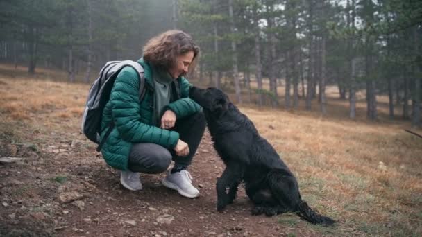 Jovem mulher acariciando ela bonito preto cão enquanto caminhando ela no outono floresta — Vídeo de Stock