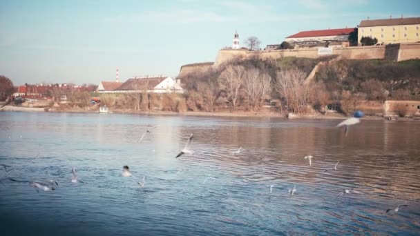 Pemandangan sinematik ke benteng Petrovaradin, Novi Sad, Serbia — Stok Video