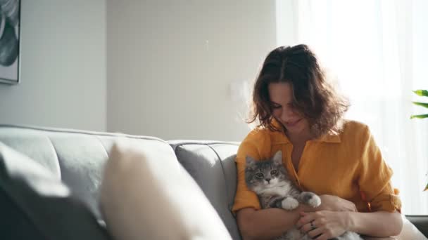 Zabawny puszysty kot drapie swoich właścicieli w twarz podczas gdy ona głaszcze go. — Wideo stockowe