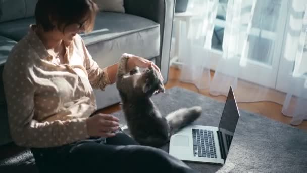 Mladá hravá kočka útočí na svého majitele, zatímco ona se snaží pracovat na notebooku doma — Stock video
