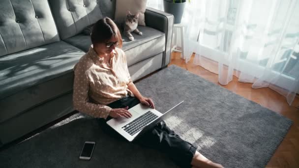 Piękna kobieta pracująca na laptopie, gdy jej zabawny kot leży na kanapie — Wideo stockowe