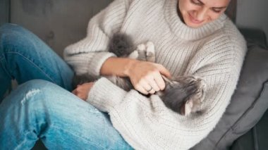 Genç bir kadının rahat bir yakın çekimi gri uykucu bir kediyi okşadı. 