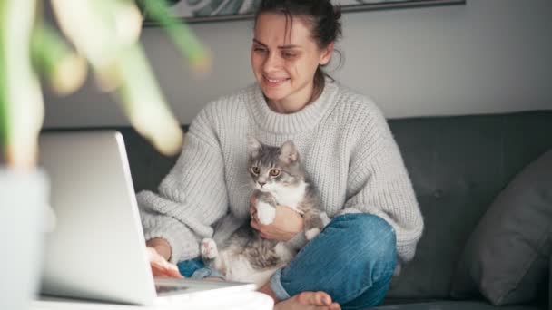 Молодая женщина, работающая дома над ноутбуком и держащая серую кошку на руках — стоковое видео