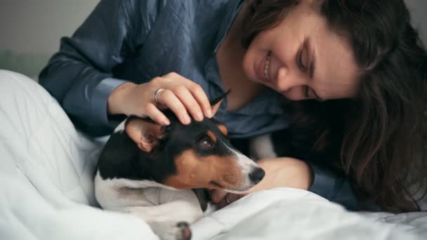 Närbild skott av en ung kvinna klappa sin basenji hund när du ligger i sängen — Stockvideo