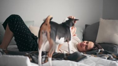Yetişkin bir kadın yatakta yatarken komik Basenji köpeğiyle oynuyor.