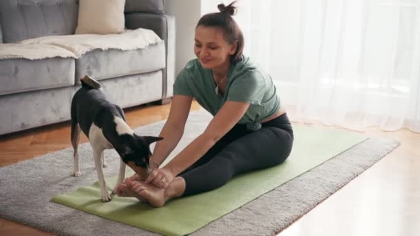 Belle jeune femme adulte faisant du yoga avec son chien basenji mignon. — Video