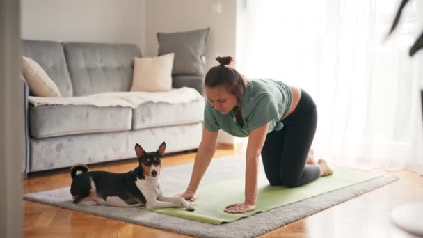 Belle jeune femme adulte faisant du yoga avec son chien basenji mignon. — Video