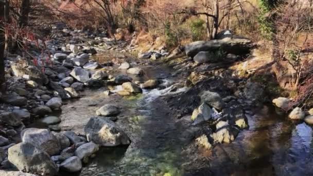 Ein schneller Gebirgsbach fließt an einem sonnigen Tag zwischen Steinen im Wald. — Stockvideo