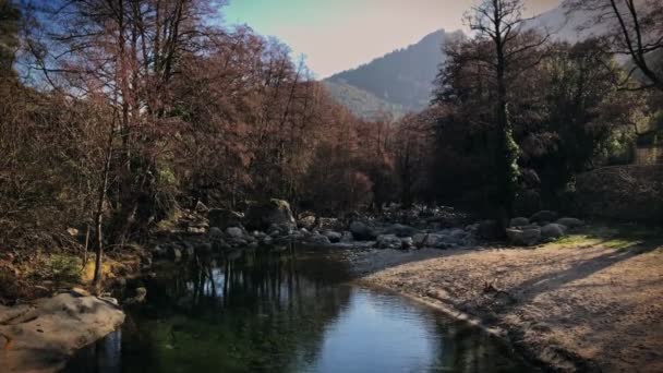 En filmisk bild av den lugna älven eller bäcken i skogen med utsikt över bergen. — Stockvideo