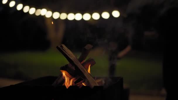 Rönköket éget a grillben éjjel a szabadban. — Stock videók