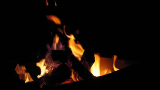 Cinematische close-up van het prachtige brandende kampvuur. — Stockvideo