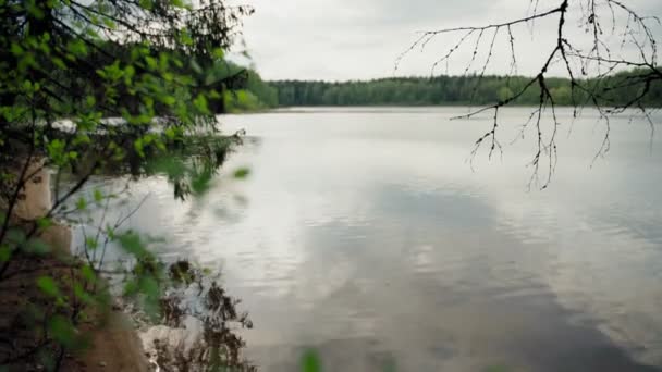 Ormandaki sakin göl suyunun güzel manzarası. — Stok video