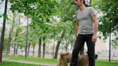 Parkta köpekleriyle oynayan yakışıklı bir adam.