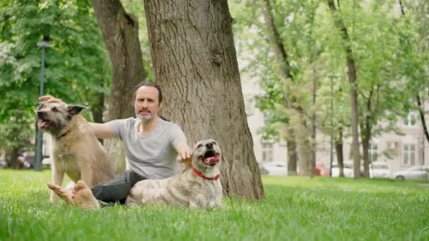 Een knappe man met een baard zit op het gras in het park met zijn twee honden. — Stockvideo