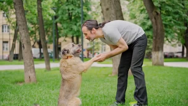 Yakışıklı sakallı adam parkta köpeğiyle oynuyor. — Stok video