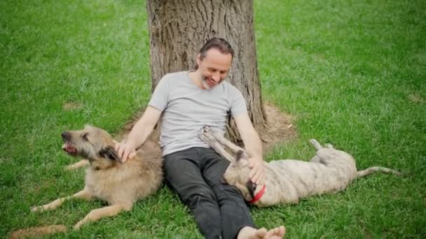 Een knappe man met een baard zit op het gras in het park met zijn twee honden. — Stockvideo