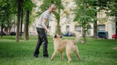 Parkta köpekleriyle oynayan yakışıklı bir adam.