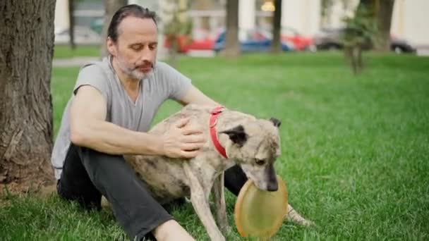 Un hombre guapo tocando un disco volador con su inteligente perro gris — Vídeos de Stock