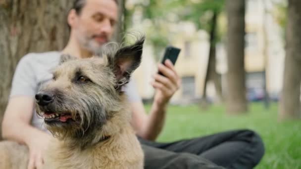 Чоловік сидить на траві в парку погладжуючи собаку і приймаючи відеодзвінок — стокове відео
