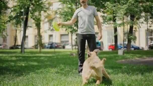 Ein schöner Mann spielt mit seinen Hunden in einem Park — Stockvideo