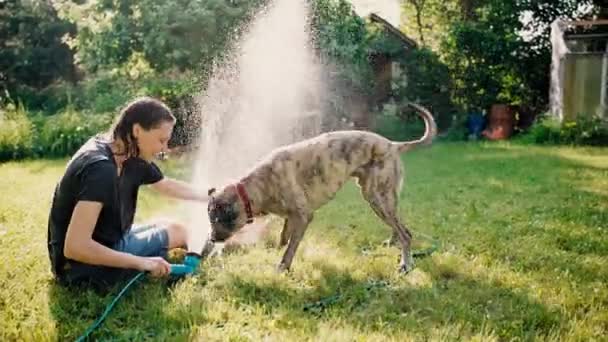 Молодая женщина освежается в жаркий день, обливая себя и свою собаку водой — стоковое видео