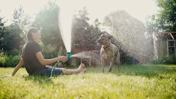 A young woman freshens up on a hot day by dousing herself and her dog with water — Stock Video