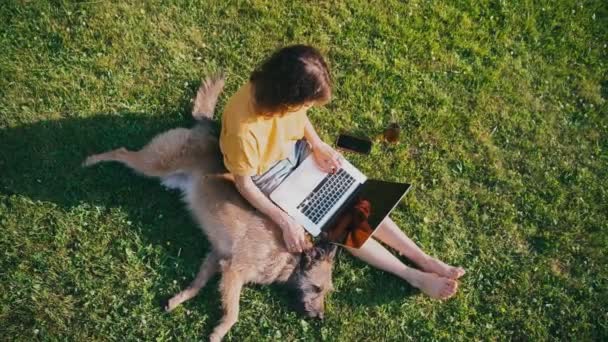 Topp skott av en ung kvinna frilansare arbetar på en bärbar dator när du sitter på gräsmattan — Stockvideo