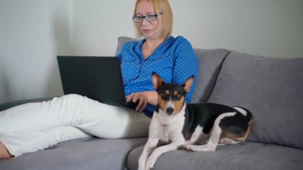 A woman working on a laptop from home while sitting on a couch with her cute dog — Stock Video
