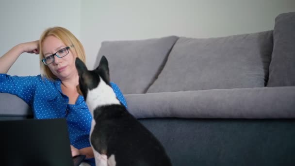 Kobieta pracująca na laptopie siedząc na podłodze ze swoim słodkim psem — Wideo stockowe