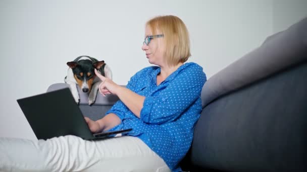 Une femme travaillant sur un ordinateur portable tout en étant assise sur le sol avec son chien mignon — Video