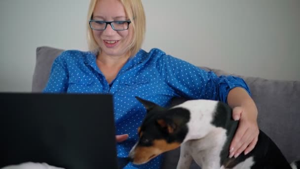 Une femme travaillant sur un ordinateur portable de la maison tout en étant assis sur un canapé avec son chien mignon — Video