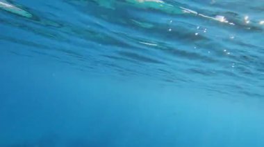 Sualtı sahnesi. Koyu mavi deniz yüzeyinde ışık huzmeleri var.