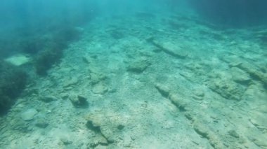 Sualtı sahnesi. Koyu mavi deniz yüzeyinde ışık huzmeleri var.