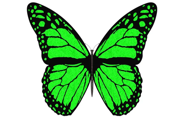 3Dイラスト 白い背景に羽を開いてカラフルな蝶が飛びます — ストック写真