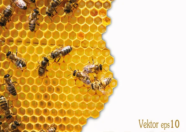 Tasarlanmış doku, vektör arka plan