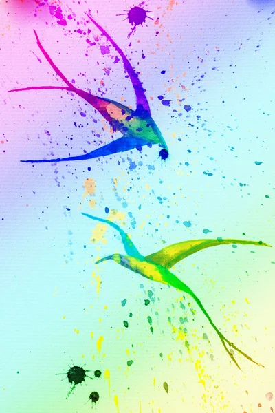 Акварель. Птицы. Многоцветные ласточки — стоковое фото