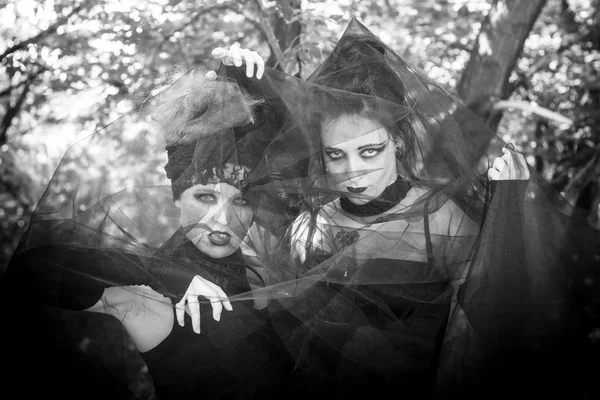 Häxa på coven. Halloween. Gothic brud. Svartvitt foto. — Stockfoto