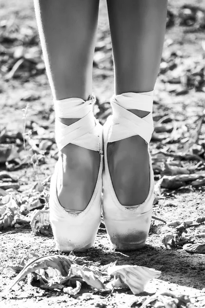 Pies vestidos con zapatos de punta de baile, zapatos deportivos en el fondo hojas de otoño. Patas femeninas atractivas. Foto en blanco y negro — Foto de Stock