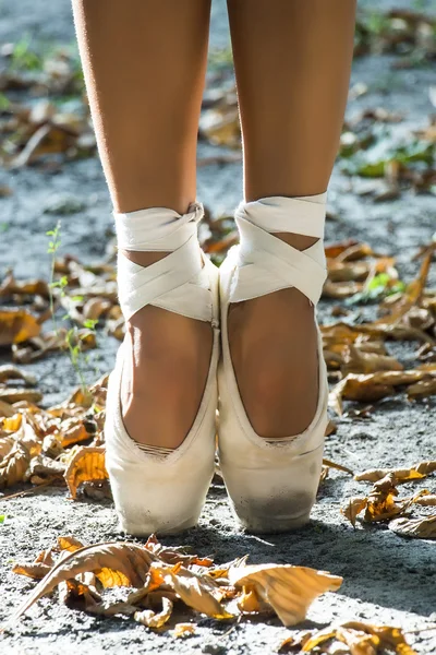 Füße in Tanzspitzen-Schuhen, Sportschuhe im Hintergrund Herbstblätter. sexy weibliche Beine — Stockfoto