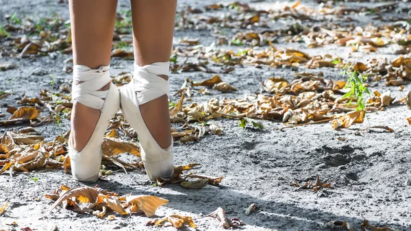 Feet dressed in dance pointe shoes, sports shoes on the background autumn leaves. Sexy female legs