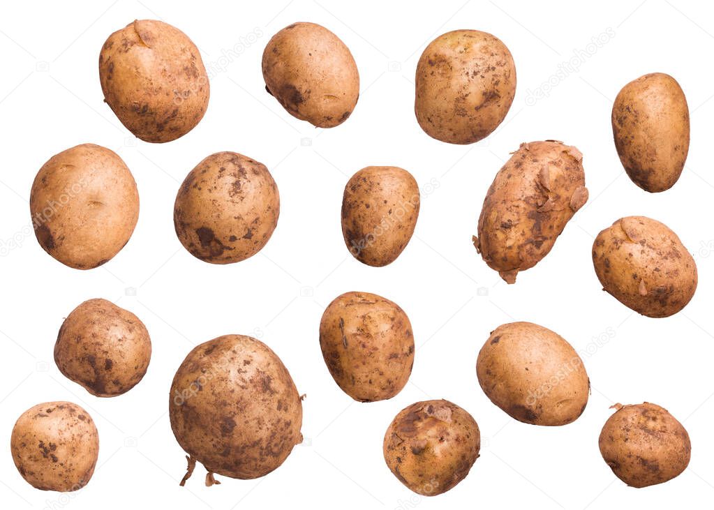 Group of dirty unpeeled new potatoes isolated on white background