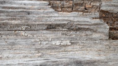 Gri ahşap desenli güzel bir arkaplan