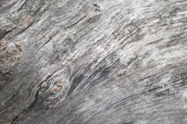 Gri ahşap desenli güzel bir arkaplan