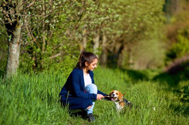 Parkta köpekle oynayan bir kız.. 