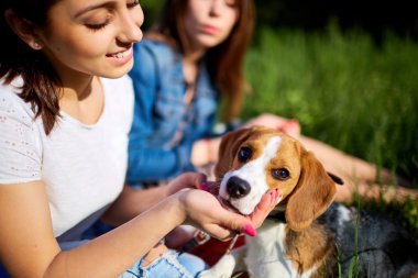 Yeşil çimenlerin üzerinde oturan onların köpek beagle ile mutlu kızlar 