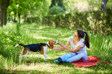 köpeği ile güzel kız.